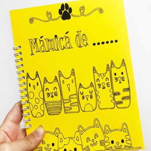 Caiet lucrat manual - Artynos.ro