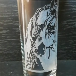 Pahar de sticlă cu model de cal, gravat manual  -  - Artynos.ro