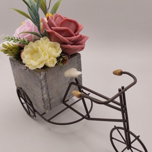 Soap blossoms pe o bicicletă -  - Artynos.ro