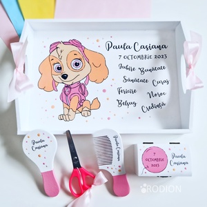 Set prima aniversare fetita Paw Patrol tava mot personalizata pictata manual - Artynos.ro