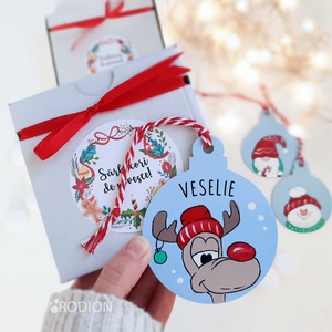 Glob Craciun pictat manual personalizat cu mesaj Ren, Accesorii de Crăciun, Decorațiuni de Crăciun de casă, Decorațiuni pentru pomul de Crăciun, Obiecte pictate, Pictură, ARTYNOS