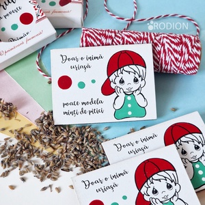 Mărțișoare cu magnet băiețel pictate manual cu mesaje haioase handmade, Bijuterii, Martisor, Obiecte pictate, Pictura, ARTYNOS