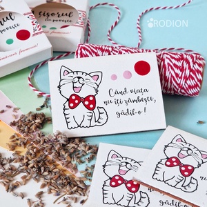 Mărțișoare cu magnet pisicuță pictate manual cu mesaje haioase handmade, Bijuterii, Martisor, Obiecte pictate, Pictura, ARTYNOS