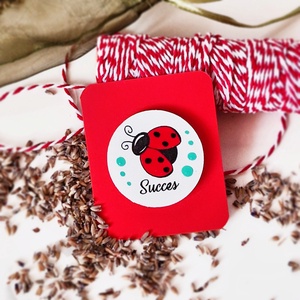 Martisor brosa Buburuza pictat manual cu text handmade, Bijuterii, Martisor, Obiecte pictate, Pictura, ARTYNOS