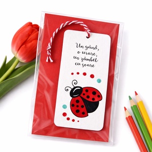 Martisoare semn de carte pictate manual cu mesaj Buburuza / Albinuță - bijuterii - mărțișor - Artynos.ro