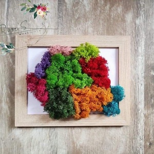Harta Romaniei pe regiuni, decorata cu licheni stabilizati, Casa & Stil de viata, Decoratiuni de casa, Decoratiuni de pereti, Decoratiuni cu licheni, Fotografie, grafica, desen, ilustratie, ARTYNOS