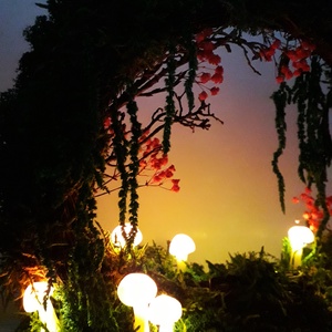 Decor ciuperci luminoase,  coroniță cu ciuperci, Moon Gate ciuperci luminoase  - casă & stil de viață - accesorii pentru decorat casa - decorațiuni de pereți, decorațiuni suspendate - decorațiuni cu licheni - Artynos.ro