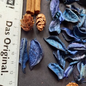 Set de materiale decorative: bețișoare de scorțișoară, conuri mici și fructe uscate  -  - Artynos.ro