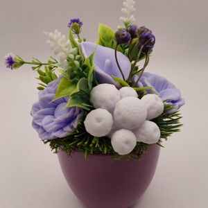 Violet cu liliac -  - Artynos.ro