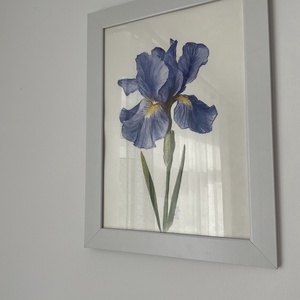 Tablou pictura in acuarela si creioane colorate floare Iris - arte vizuale și accesorii  - grafică, ilustrație - alte desene - Artynos.ro