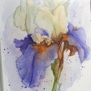 Floare de iris pictata manual cu rama - arte vizuale și accesorii  - picturi - acuarele picturi - Artynos.ro