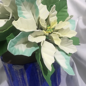 Floarea Crăciunului (Poinsettia) - crăciun - cadouri de moș crăciun - cadouri de moș crăciun - Artynos.ro Floarea Crăciunului (Poinsettia) - crăciun - cadouri de moș crăciun - cadouri de moș crăciun - Artynos.ro