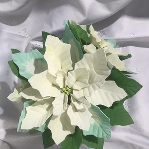 Floarea Crăciunului (Poinsettia) - crăciun - cadouri de moș crăciun - cadouri de moș crăciun - Artynos.ro Floarea Crăciunului (Poinsettia) - crăciun - cadouri de moș crăciun - cadouri de moș crăciun - Artynos.ro