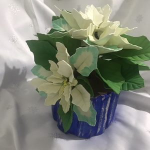 Floarea Crăciunului (Poinsettia) - crăciun - cadouri de moș crăciun - cadouri de moș crăciun - Artynos.ro Floarea Crăciunului (Poinsettia) - crăciun - cadouri de moș crăciun - cadouri de moș crăciun - Artynos.ro