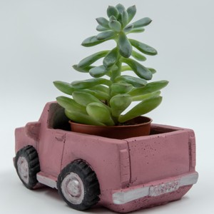 Camion de beton, camion de beton mauve suport pentru flori cu pictură personalizată -  - Artynos.ro