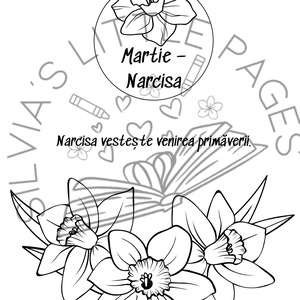 Florile Lunilor  Carte de colorat pentru toate vârstele - accessorii și unelte - carte, ziar - carte nouă - Artynos.ro