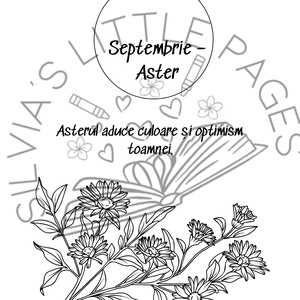 Florile Lunilor  Carte de colorat pentru toate vârstele - accessorii și unelte - carte, ziar - carte nouă - Artynos.ro