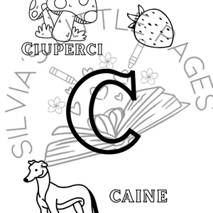 Colorăm și învățăm alfabetul cu plante și animale - accessorii și unelte - carte, ziar - carte nouă - Artynos.ro