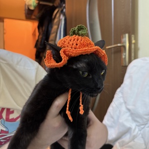 Caciulita pentru pisici, Casa & Stil de viata, Accesorii pentru animale , Echipamente pentru pisici, Haine pentru pisici, Crosetat, ARTYNOS