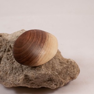 cataramă franceză din lemn, cataramă de păr - îmbrăcăminte și modă - accesorii păr - clemă de păr și ac de păr - Artynos.ro