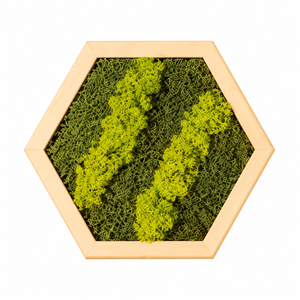 Hexagon din licheni in nuante de verde 30x25 cm, Casa & Stil de viata, Decoratiuni de casa, Decoratiuni de pereti, Tablou cu licheni, , Tablou decorativ hexagonal realizat manual din lemn si licheni stabilizati, intr-o combinatie de nu..., ARTYNOS
