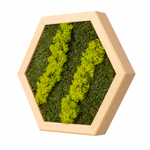 Hexagon din licheni in nuante de verde 30x25 cm - casă & stil de viață - decorațiuni de casă - decorațiuni de pereți - tablou cu licheni - Artynos.ro