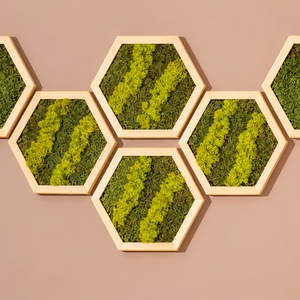 Hexagon din licheni in nuante de verde 30x25 cm - casă & stil de viață - decorațiuni de casă - decorațiuni de pereți - tablou cu licheni - Artynos.ro