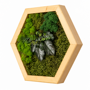 Hexagon din licheni stabilizati, muschi plat si plante 30x25 cm - casă & stil de viață - decorațiuni de casă - decorațiuni de pereți - tablou cu licheni - Artynos.ro