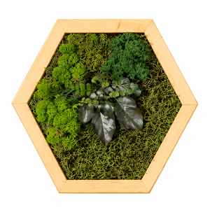 Hexagon din licheni stabilizati, muschi plat si plante 30x25 cm, Casa & Stil de viata, Decoratiuni de casa, Decoratiuni de pereti, Tablou cu licheni, , Tablou decorativ hexagonal realizat manual din lemn, licheni stabilizati, muschi si plante decorati..., ARTYNOS