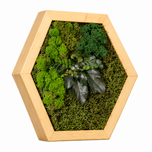 Hexagon din licheni stabilizati, muschi plat si plante 30x25 cm - casă & stil de viață - decorațiuni de casă - decorațiuni de pereți - tablou cu licheni - Artynos.ro