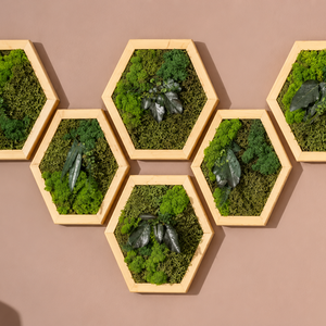 Hexagon din licheni stabilizati, muschi plat si plante 30x25 cm - casă & stil de viață - decorațiuni de casă - decorațiuni de pereți - tablou cu licheni - Artynos.ro
