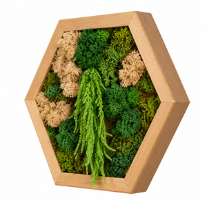 Hexagon din licheni, muschi plat si plante stabilizate 30x25 cm - casă & stil de viață - decorațiuni de casă - decorațiuni de pereți - tablou cu licheni - Artynos.ro