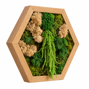 Hexagon din licheni, muschi plat si plante stabilizate 30x25 cm - casă & stil de viață - decorațiuni de casă - decorațiuni de pereți - tablou cu licheni - Artynos.ro