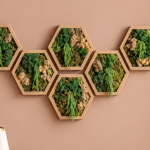 Hexagon din licheni, muschi plat si plante stabilizate 30x25 cm - casă & stil de viață - decorațiuni de casă - decorațiuni de pereți - tablou cu licheni - Artynos.ro