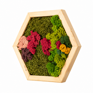 Hexagon din licheni stabilizati si muschi plat multicolor 30x25 cm - casă & stil de viață - decorațiuni de casă - decorațiuni de pereți - tablou cu licheni - Artynos.ro