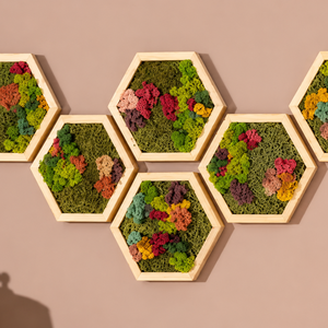 Hexagon din licheni stabilizati si muschi plat multicolor 30x25 cm - casă & stil de viață - decorațiuni de casă - decorațiuni de pereți - tablou cu licheni - Artynos.ro