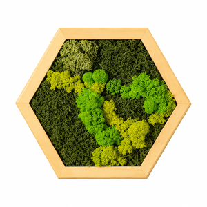 Hexagon din licheni stabilizati si muschi plat 30x25 cm, Casa & Stil de viata, Decoratiuni de casa, Decoratiuni de pereti, Tablou cu licheni, , Acest tablou hexagonal este construit in jurul mai multor nuante de verde, dispuse intr-un traseu f..., ARTYNOS