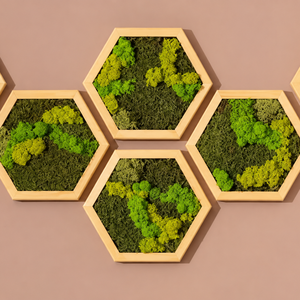 Hexagon din licheni stabilizati si muschi plat 30x25 cm - casă & stil de viață - decorațiuni de casă - decorațiuni de pereți - tablou cu licheni - Artynos.ro