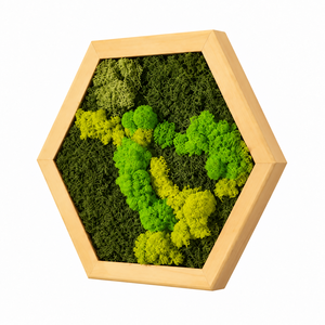 Hexagon din licheni stabilizati si muschi plat 30x25 cm - casă & stil de viață - decorațiuni de casă - decorațiuni de pereți - tablou cu licheni - Artynos.ro