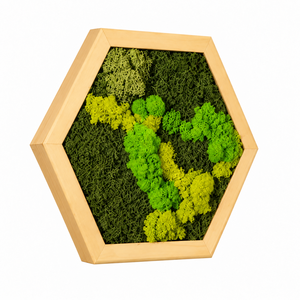 Hexagon din licheni stabilizati si muschi plat 30x25 cm - casă & stil de viață - decorațiuni de casă - decorațiuni de pereți - tablou cu licheni - Artynos.ro