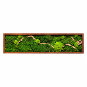 Tablou din muschi plat, bombat si elemente decorative 100x20 cm - casă & stil de viață - decorațiuni de casă - decorațiuni de pereți - tablou cu licheni - Artynos.ro