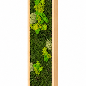 TAblou din licheni stabilizati si muschi plat 100x20 cm - casă & stil de viață - decorațiuni de casă - decorațiuni de pereți - tablou cu licheni - Artynos.ro