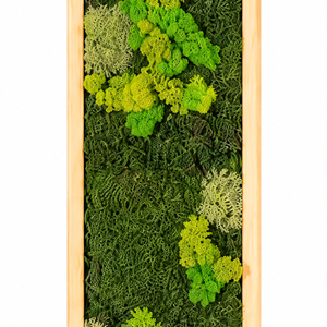 TAblou din licheni stabilizati si muschi plat 100x20 cm, Casa & Stil de viata, Decoratiuni de casa, Decoratiuni de pereti, Tablou cu licheni, , Tablou vertical din licheni stabilizati, realizat manual in format 100 x 20 cm, cu o compozitie veg..., ARTYNOS