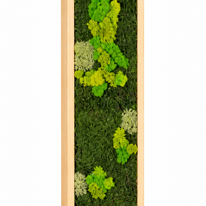 TAblou din licheni stabilizati si muschi plat 100x20 cm - casă & stil de viață - decorațiuni de casă - decorațiuni de pereți - tablou cu licheni - Artynos.ro