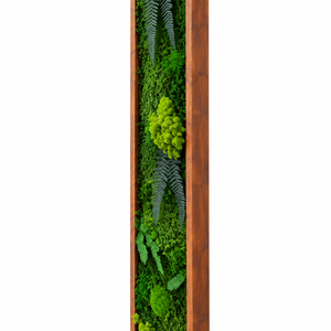 Tablou din licheni stabilizati si muschi plat si plante naturale 100x20 cm - casă & stil de viață - decorațiuni de casă - decorațiuni de pereți - tablou cu licheni - Artynos.ro