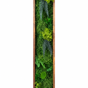 Tablou din licheni stabilizati si muschi plat si plante naturale 100x20 cm - casă & stil de viață - decorațiuni de casă - decorațiuni de pereți - tablou cu licheni - Artynos.ro