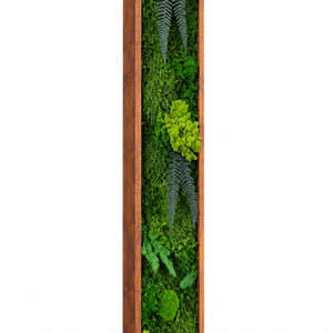 Tablou din licheni stabilizati si muschi plat si plante naturale 100x20 cm - casă & stil de viață - decorațiuni de casă - decorațiuni de pereți - tablou cu licheni - Artynos.ro