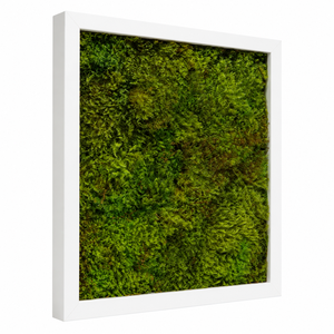 Tablou din muschi plat stabilizat 30x30 cm - casă & stil de viață - decorațiuni de casă - decorațiuni de pereți - tablou cu licheni - Artynos.ro