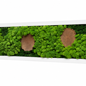 Tablou din licheni stabilizati si muschi plat, rama alba 100x15 cm - casă & stil de viață - decorațiuni de casă - decorațiuni de pereți - tablou cu licheni - Artynos.ro