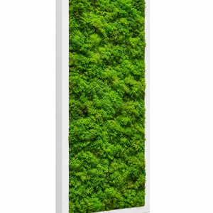 Tablou din licheni stabilizati si muschi plat 70x30 cm - casă & stil de viață - decorațiuni de casă - decorațiuni de pereți - tablou cu licheni - Artynos.ro
